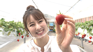 tabikibun20210619-p5