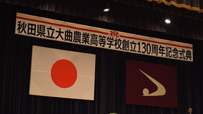 daino-p4