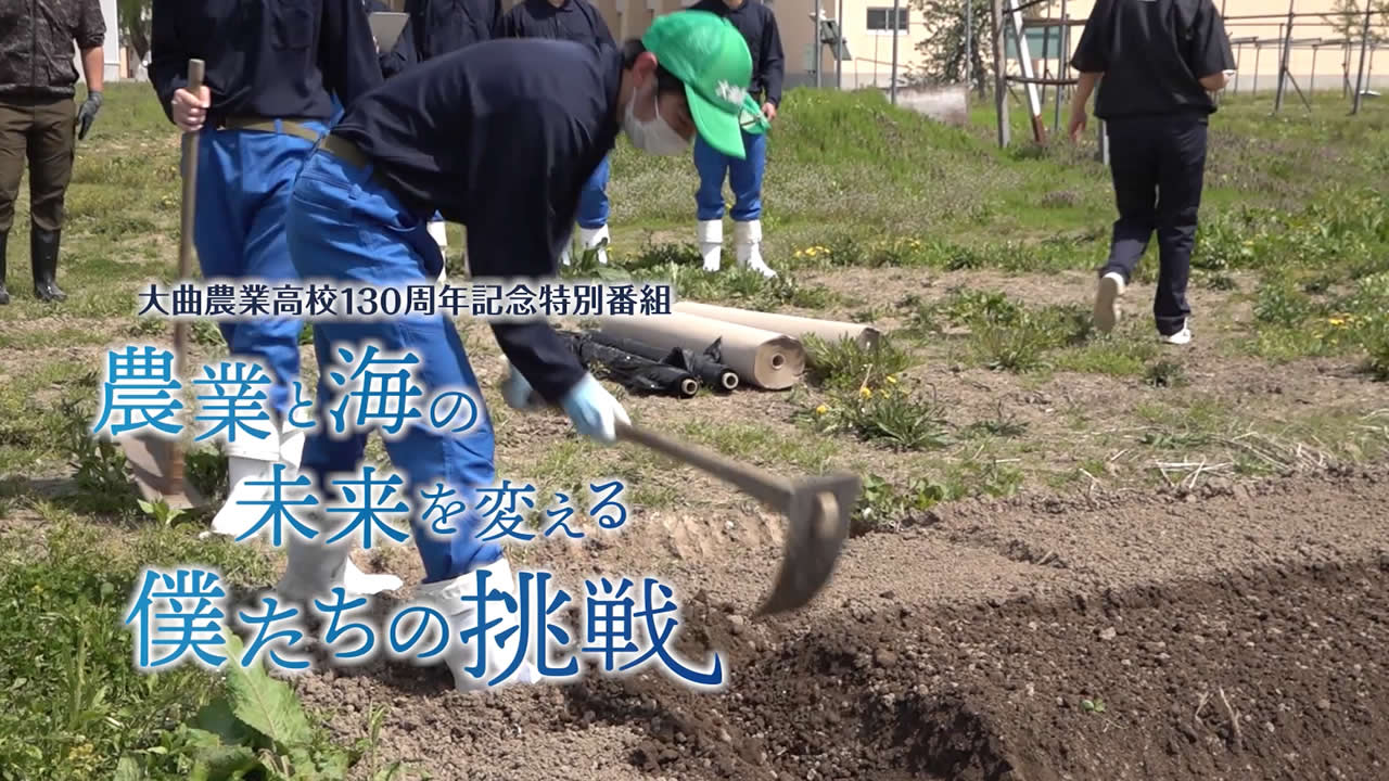 yuthumb-daino1