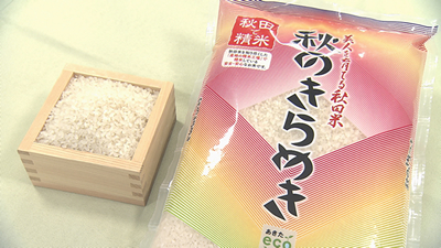 midori20260502-1