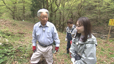 midori20260509-2