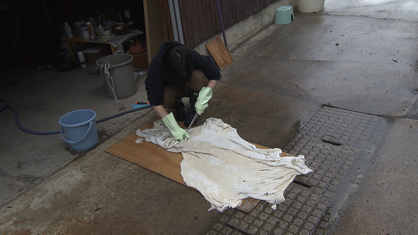 tenbyou20260531e