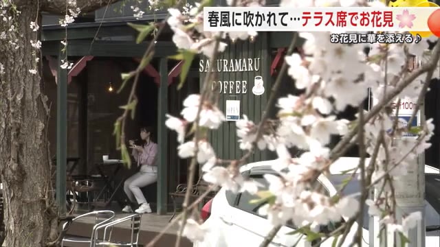 春の風に吹かれ“テラス席”でお花見を　サクラが見えるカフェ　秋田・仙北市