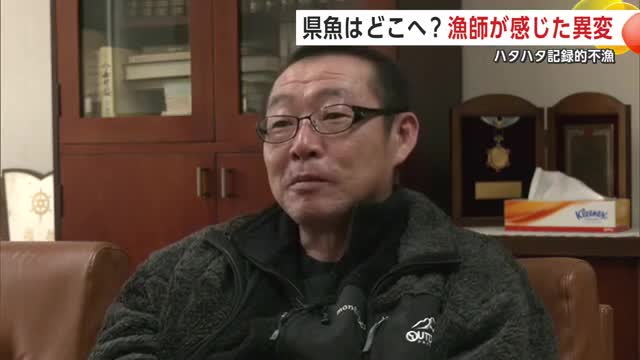 「季節ハタハタの文化が消滅するのでは」　記録的不漁、県魚はどこへ？漁師が感じた異変　秋田・八峰町