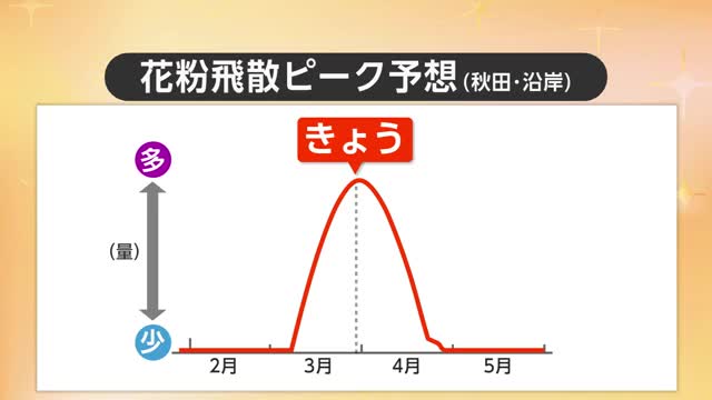 「花粉症」デビューが多数！？スギ花粉、大量飛散の予想　秋田の花粉シーズン終了は4月下旬の予想
