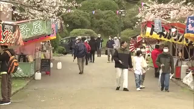 秋田市の桜の名所で祭り始まる　訪れた人が見頃の桜を満喫　露店で花見のお供を買う人の姿も