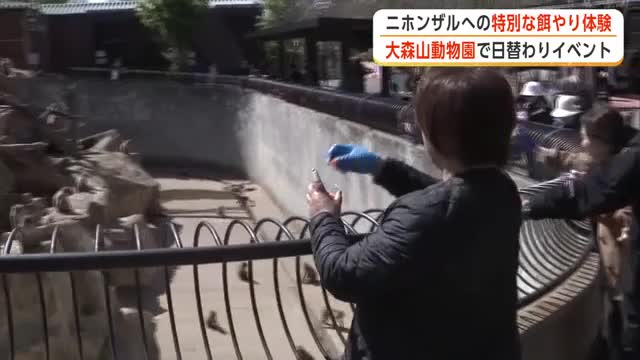 ニホンザルへの特別な餌やり体験　大森山動物園で日替わりイベント　親子連れでにぎわう　秋田市