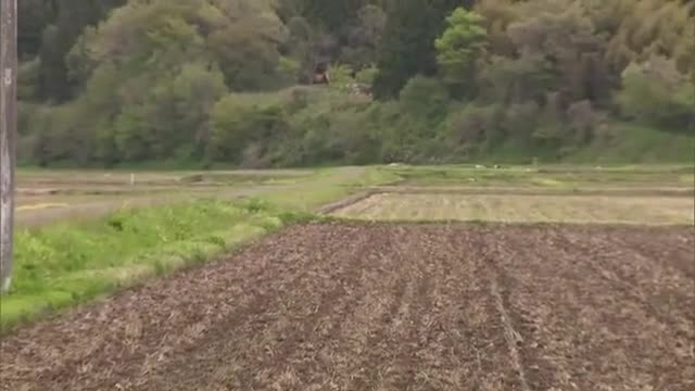 秋田県内で今年初のクマの人身被害　由利本荘市東由利で田んぼの見回り中の男性（48）襲われけが　