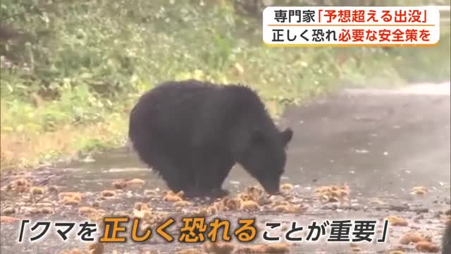 大型連休のにぎわいの裏でクマの脅威　6日間で目撃99件、予想超える出没　専門家「正しく恐れて」　秋田